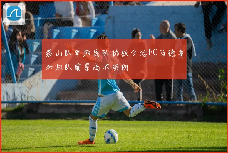 泰山队军师离队执教今治FC马德鲁加归队前景尚不明朗