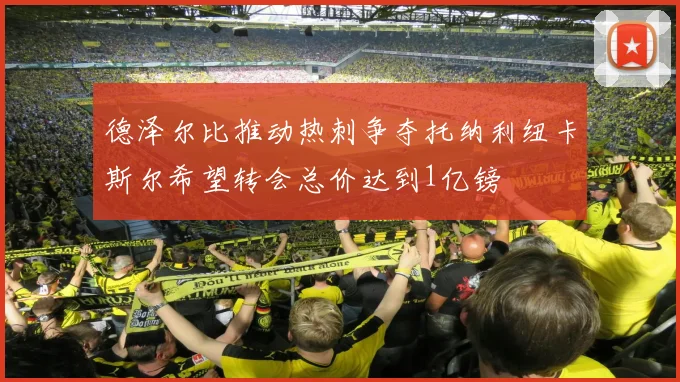 德泽尔比推动热刺争夺托纳利纽卡斯尔希望转会总价达到1亿镑